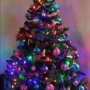 Meet your Posher, Kimberley